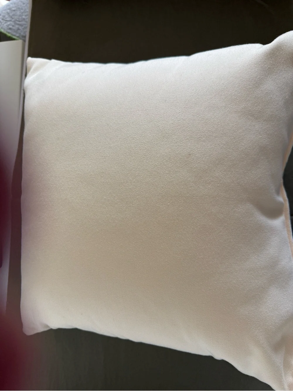 Decorative Reptile Pillow Cover in Green by
